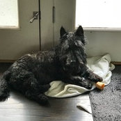 Foto von debrapennicott