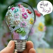 Amna Mazen's photo