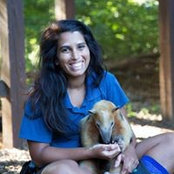 Pujita Venkat's photo