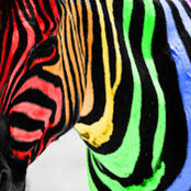 Brian Karlak's photo