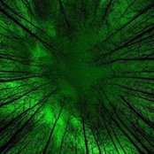 Richard Cole's photo