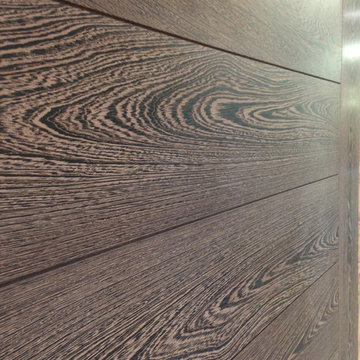 Contemporary Doors
