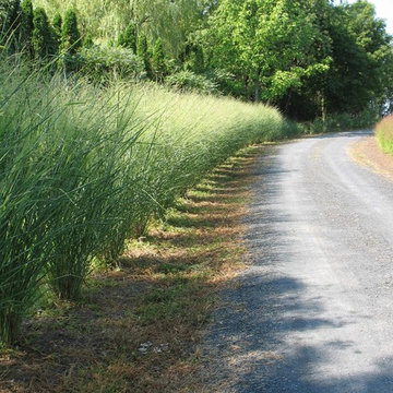 Driveway Border