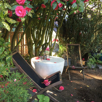 A plant lover's paradise