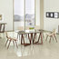 Veneto Ash Dining Chairs, Set of 2