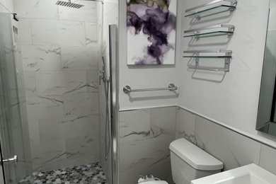 Inspiration for a bathroom remodel in DC Metro