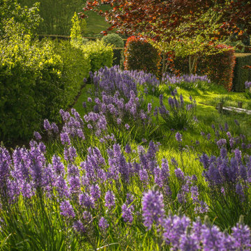 Bog Garden & bulb planting in long grass