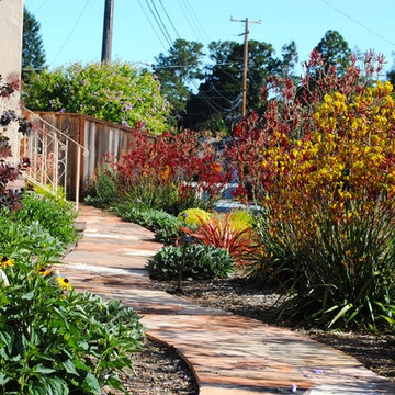 Good bye lawn, hello color!