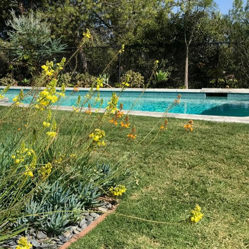 Bel Air pool view with Bermuda grass surrounds.