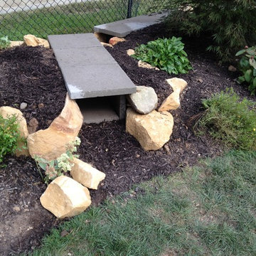 Dog Friendly Landscape