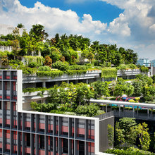 Kampung Admiralty : 1er prix au World Architecture Festival