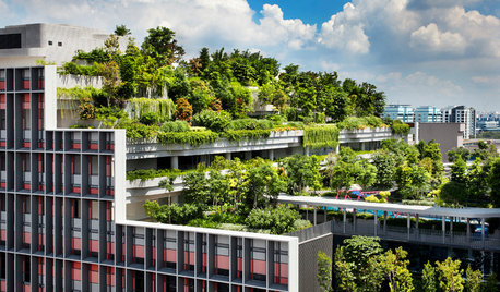 Kampung Admiralty : 1er prix au World Architecture Festival