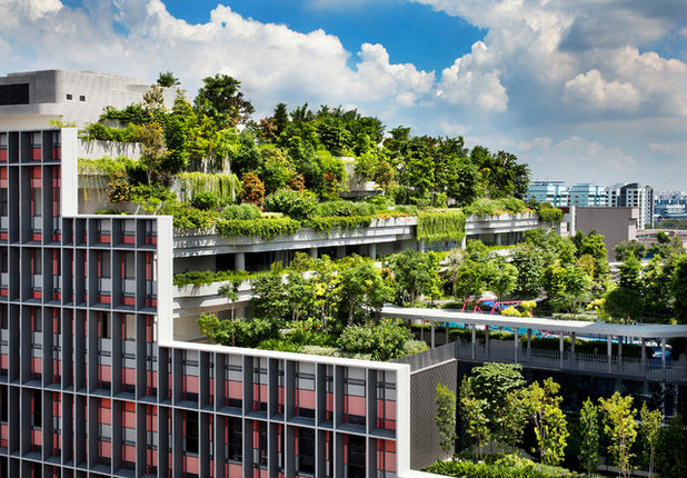 HDB 'Retirement Village' Bags World Architecture Festival's Top Prize