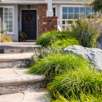 Front Yard Entertaining Patio with Lush Rear Yard