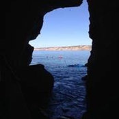 Marianne Hayden's photo