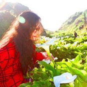 Ling Wang's photo