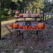 Susanne Cook's photo