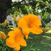 Barbara Lichota's photo
