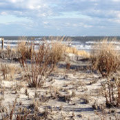Steve Antosca's photo