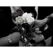 Chan Kuanweng's photo