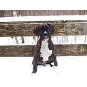 Chantal Ruivo's photo