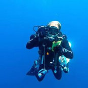 Dario Accaputo's photo