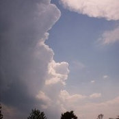 Karen Corbin's photo