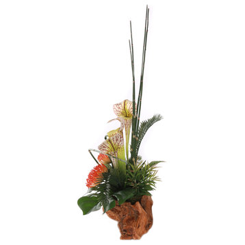 High Style Ikebana Tropical Arrangement, Natural Rustic Wood Bowl