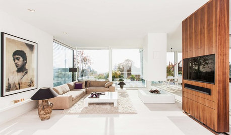 Houzz Tour: A Glass Penthouse With a Mountain View