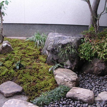 Tea Garden 1