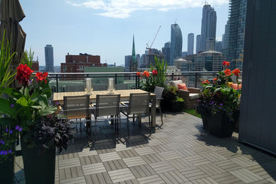 Inspiration for a mid-sized modern glass railing balcony remodel in Toronto with no cover