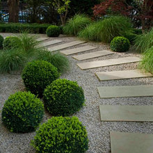 rock garden