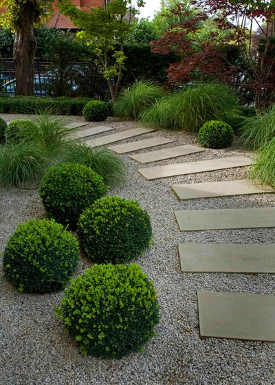 Современный Сад by Laara Copley-Smith Garden & Landscape Design