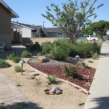 Garden Grove Native/Succulent Front Yard