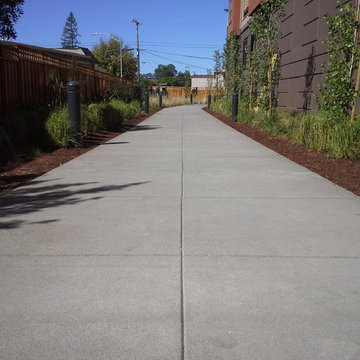 emergency access and pedestrian pervious concrete path