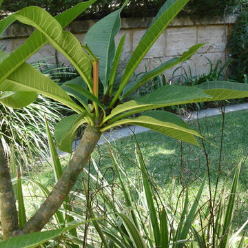 Gardens 2015-2016