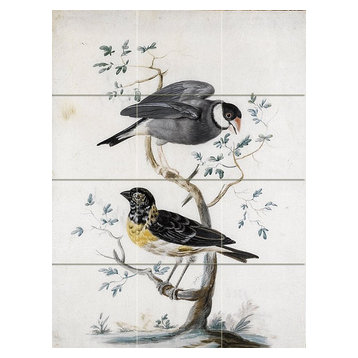 Tile Mural Two Exotic Birds Kitchen Bathroom Wall Backsplash, Matte