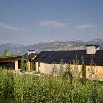 Trader Ridge