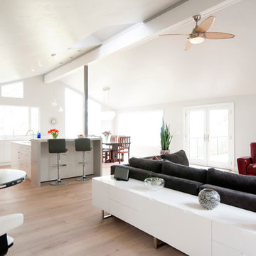 Great Room with Pitched Ceiling