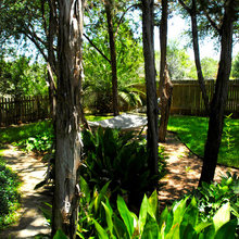 Backyard Ideas