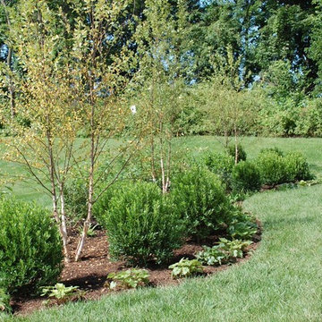Backyard Transformation- Poolesville