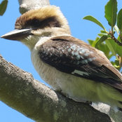 annemarie finch's photo