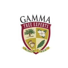 Gamma Tree Experts