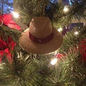 Carol White's photo