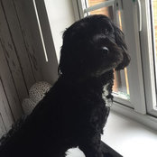 Emma Todd's photo