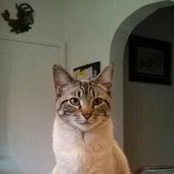 Susan Donovan's photo