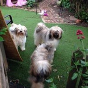Sue Wright's photo