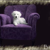 Beate Dalies's photo