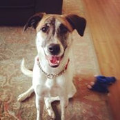 Allison Scianna's photo