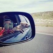 Renae Weidenkeller's photo